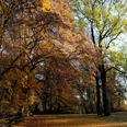 Offiziersgarten_im Herbst offiziersgarten-im-herbst