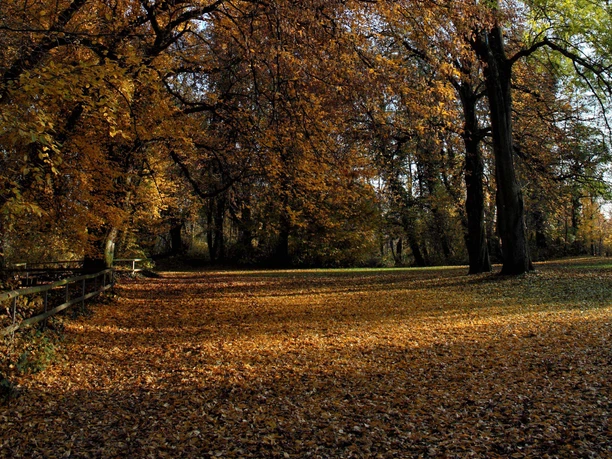 Offiziersgarten_im Herbst offiziersgarten-im-herbst