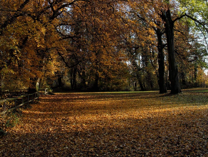 Offiziersgarten_im Herbst offiziersgarten-im-herbst