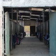 pferdeboxen-stall