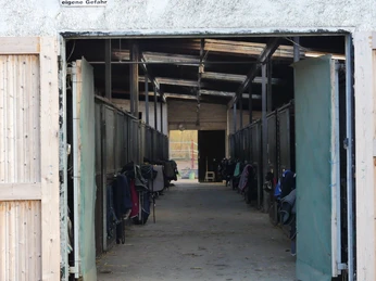 pferdeboxen-stallhorse stablesHestestaldepaardenstallen