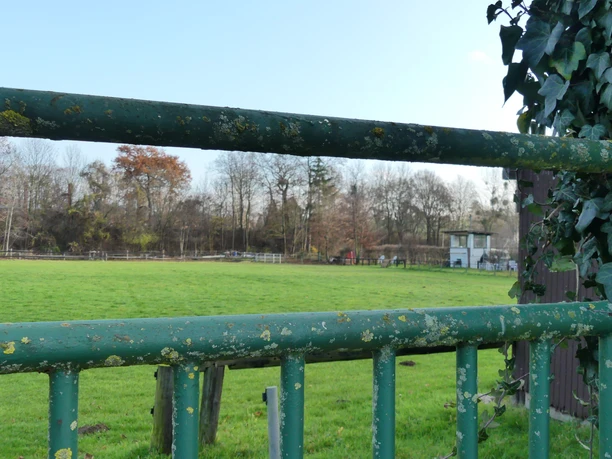 Rijbak_Ruitersportcentrum Einbeck