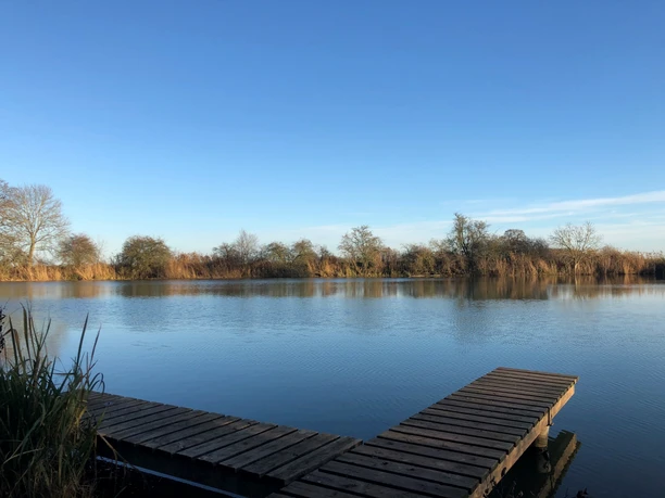Wooden jetty on the quiet lakeshore under a clear sky, surrounded by trees and reeds, in Wellier Kolk.