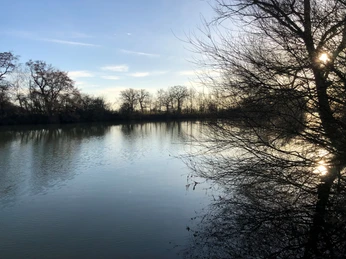 Wellier Kolk Der Wellier Kolk präsentiert eine ruhige Wasseroberfläche, umrahmt von Bäumen im sanften Licht.