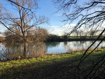 Wellier Kolk Ruhiger See mit kahlen Bäumen an den Ufern und einem klaren Himmel im Hintergrund bei Tageslicht.