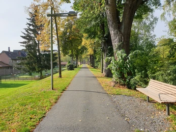 Wallanlagen_Bäckerwall in Richtung Minigolfplatz wallanlagen-baeckerwall-in-richtung-minigolfplatz