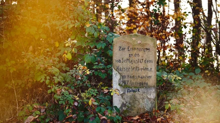 Gedenkstein mit Inschrift zu Kaiser Wilhelm II, umgeben von herbstlicher Vegetation, Buchenwald.