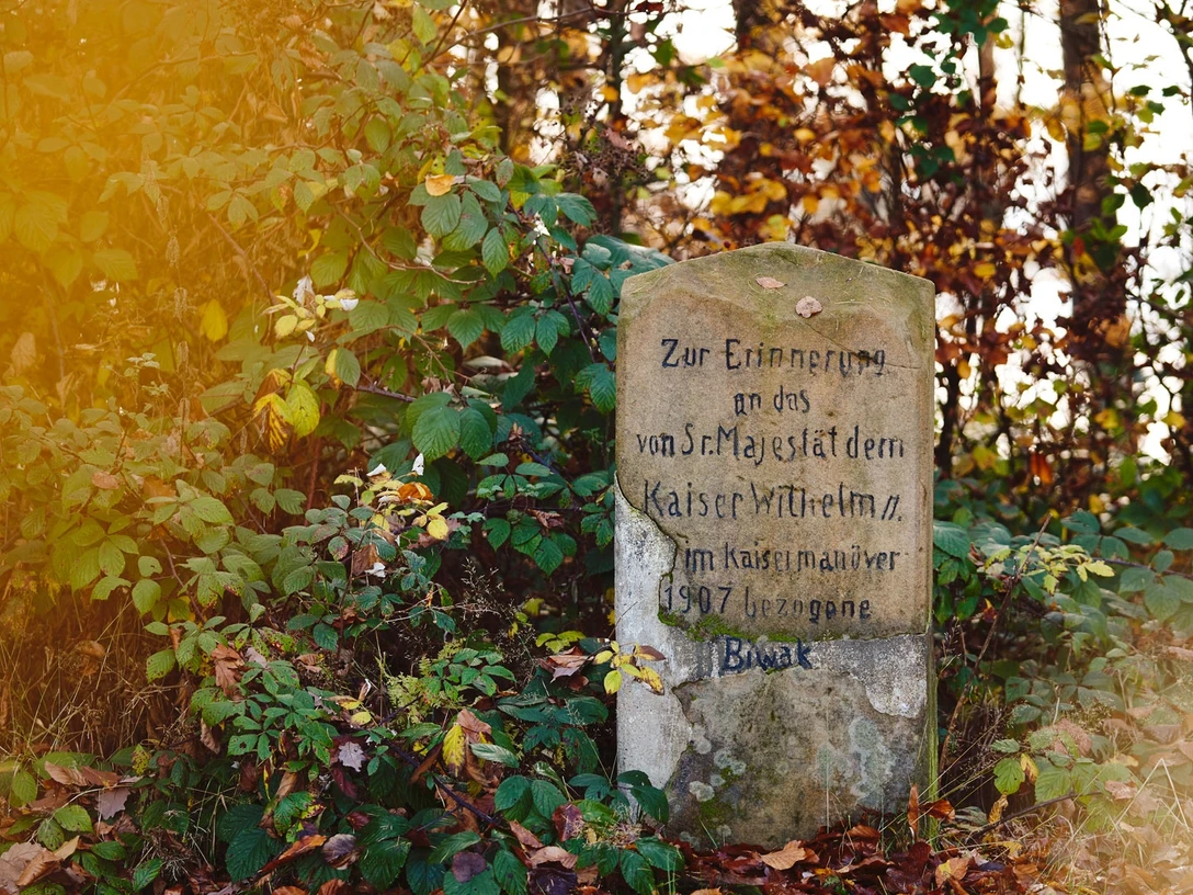 Gedenkstein mit Inschrift zu Kaiser Wilhelm II, umgeben von herbstlicher Vegetation, Buchenwald.