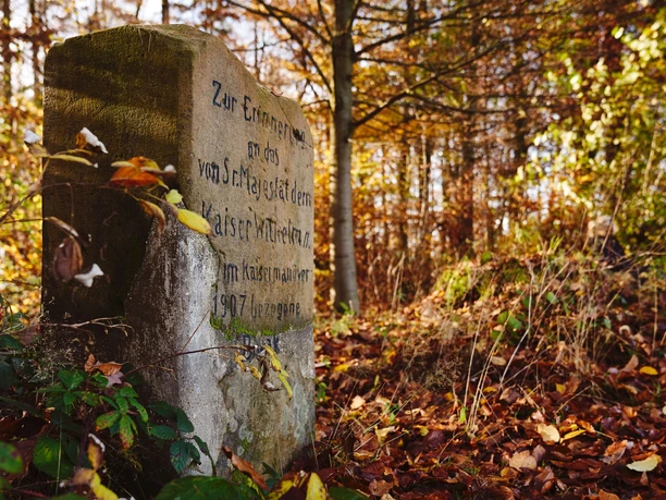 Gedenkstein im herbstlichen Wald bei Sonnenlicht, umgeben von buntem Laub und dichter Vegetation.