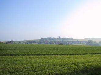 Ausblick vom Kaiserstein Blick über weitläufige, grüne Felder auf eine ferne Ortschaft am Horizont unter klarem Himmel.