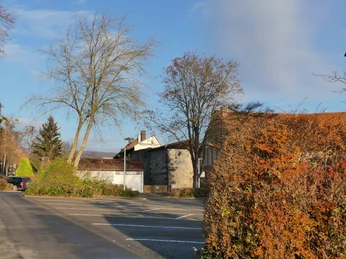 parkplatz-baeckerwall-parkbuchten