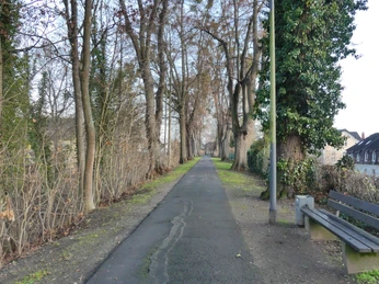 Mühlenwall_Wallanlage Parkbank muehlenwall-wallanlage-parkbankmuehlenwall-wall-parking benchmuehlenwall-væg-parkeringsbænkmuehlen-wand-parkeerbank