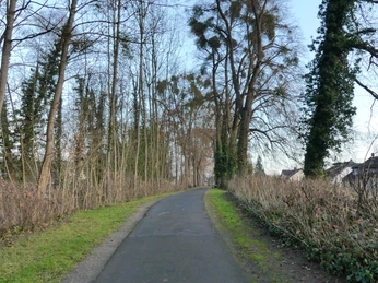 Mühlenwall_Wallanlage muehlenwall-wallanlagemuehlenwall wall systemmuehlenwall vægsystemmuehlenwall wandsysteem