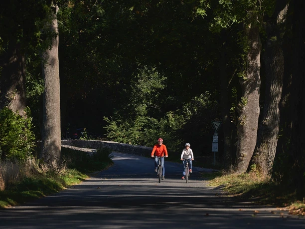Zwei Radfahrer auf einer ruhigen, von Bäumen gesäumten Straße mit Brücke im Hintergrund.