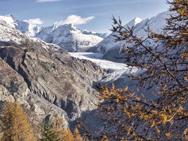 The Great Aletsch Glacier - a gigantic ice stream. The Great Aletsch Glacier - a gigantic ice stream.