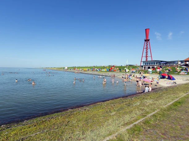 Thomas Hellmann Thomas Hellmann