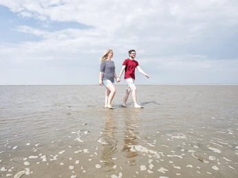 Spaziergang im Watt (19).jpg