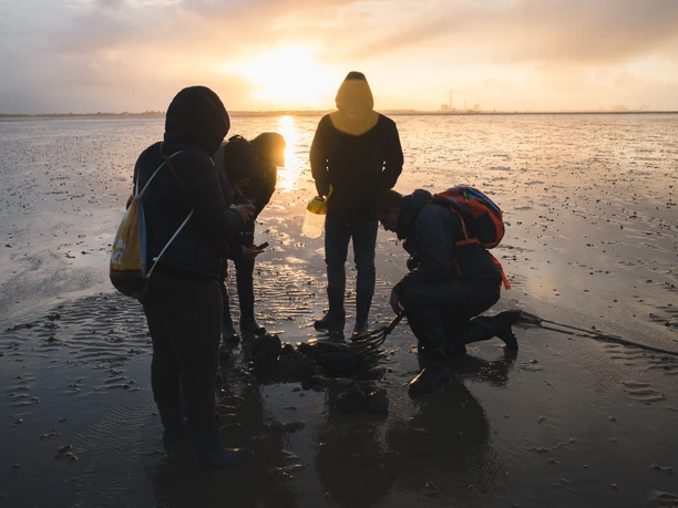 Wattwanderung bei Sonnenuntergang.jpg