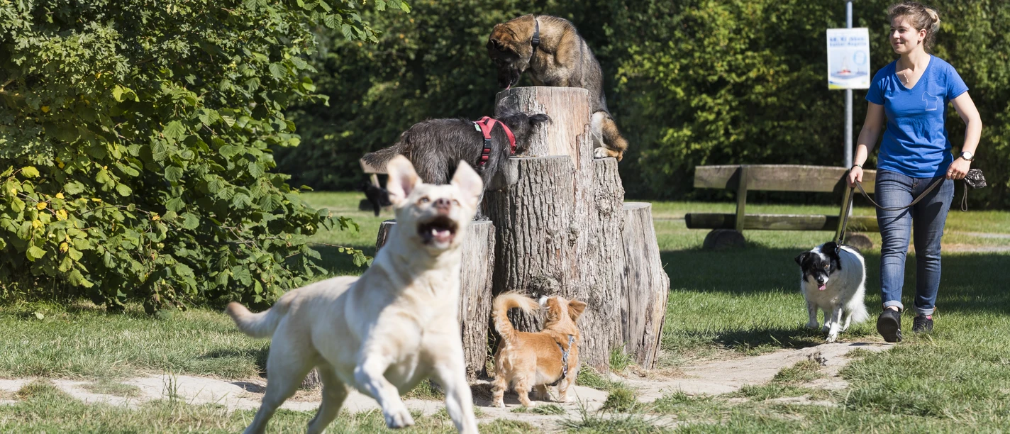 Thomas Hellmann Thomas Hellmann