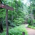 Wegweiser zur Bismarckhütte im Kleinen Berg Bismarckhütte in bad Rothenfelde