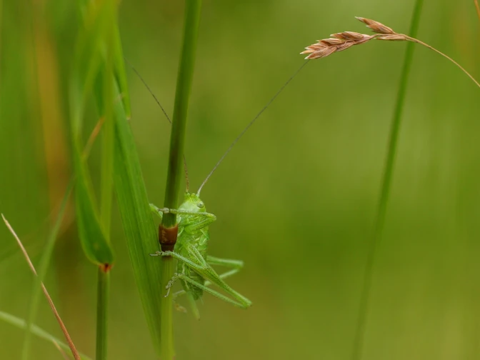 Wandertour in Bad Rothenfelde auf dem Aschendorfer Berg