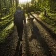 Een persoon met rugzak en hond loopt bij zonsopgang over een bospad.
