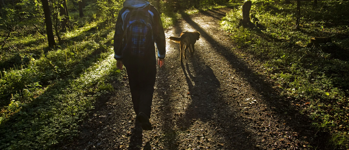 Een persoon met rugzak en hond loopt bij zonsopgang over een bospad.