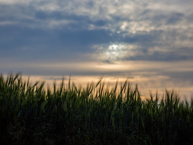 Wandertour auf dem Südberg in Bad Rothenfelde