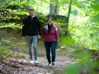 Unterwegs auf dem Rundwanderweg Bismarck in Bad Rothenfelde