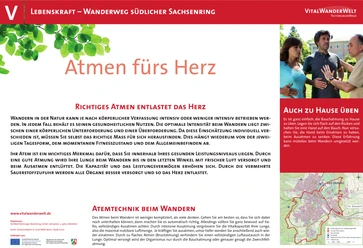 Wanderweg "Atmen fürs Herz": Entspannende Tour durch eine grüne Waldlandschaft mit gesundheitsfördernden Atemübungen.