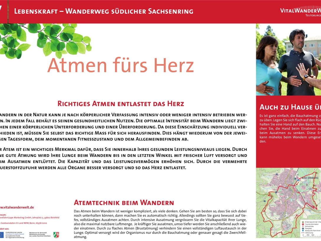 Wanderweg "Atmen fürs Herz": Entspannende Tour durch eine grüne Waldlandschaft mit gesundheitsfördernden Atemübungen.