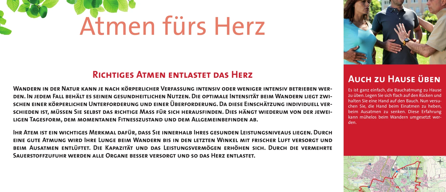 Wanderweg "Atmen fürs Herz": Entspannende Tour durch eine grüne Waldlandschaft mit gesundheitsfördernden Atemübungen.