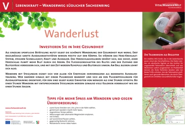 Wanderweg informiert über gesundheitsfördernde Effekte des Wanderns mit praktischen Tipps für Anfänger.