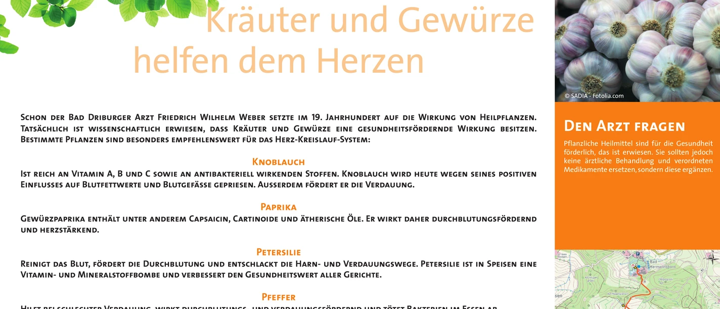 VitalWanderWelt Wanderweg Alhausen - Kräuter und Gewürze helfen dem Herzen Wanderweg Alhausen: Entdecke natürliche Kräuter und Gewürze für das Herz, informativ präsentiert.
