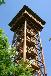 Vörden, Aussichtsturm Hungerberg Holzaussichtsturm auf dem Hungerberg, umgeben von grünen Bäumen, ragt vor blauem Himmel empor.