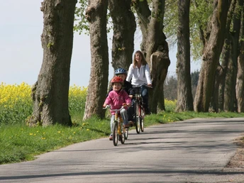 Vörden, Hungerbergallee Radfahrende Mutter mit Kind auf schmalem Weg, gesäumt von dicken Baumstämmen und blühenden Rapsfeldern.