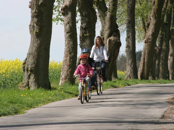 Vörden, Hungerbergallee Radfahrende Mutter mit Kind auf schmalem Weg, gesäumt von dicken Baumstämmen und blühenden Rapsfeldern.