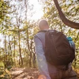 Wandern Ein Wanderer mit Rucksack und Karte spaziert entlang eines Waldpfades im Sonnenlicht.