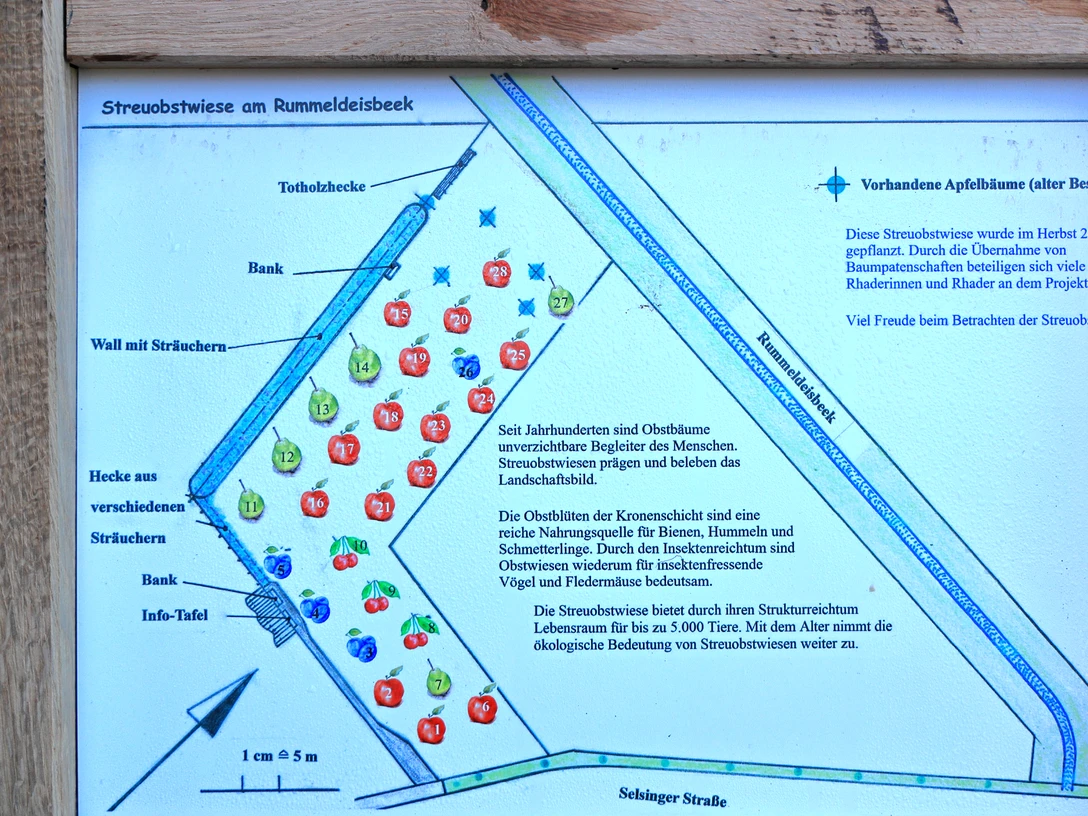 Die Streuobstwiese in Rhade Die Streuobstwiese in Rhade