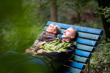 Wellenliege im Waldbaden-Areal in Bad Laer Golfligstoel in het bosbad