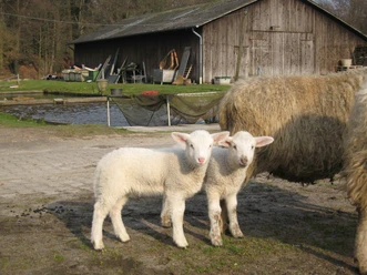 Grevenhof im März