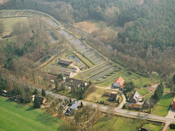 Luftbild vom Grevenhof
