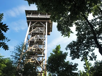 Holzturm mit plattformartigem Dach, umgeben von Laubbäumen, unter blauem Himmel bei Tageslicht.