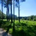 in der Ohligser Heide