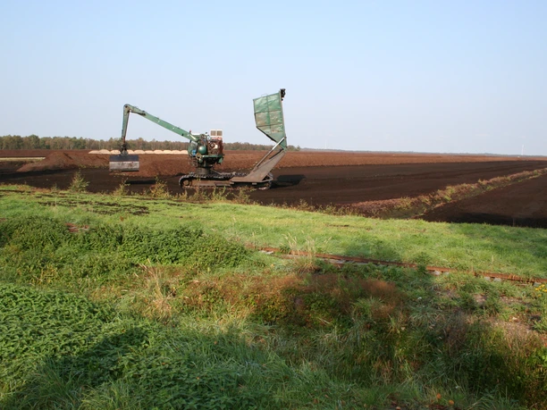 Borsteler Moor Steyerberg Eine weite Moorlandschaft mit einem Bagger in Aktion, umgeben von Natur und grünen Flächen.