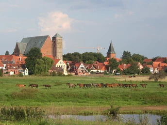 Panoramic view of a group of horses grazing in front of the historic cityscape of Verden.