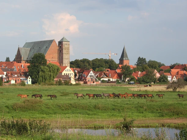Reiterstadt Verden Panoramic view of a group of horses grazing in front of the historic cityscape of Verden.