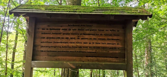 hohegeiß-Dicke Tannen-Infotafel.jpg