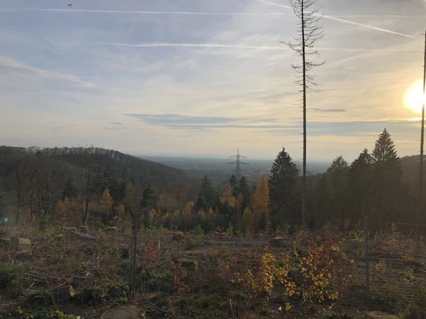 Ebberg-herbstliche-Bäume.JPG Teutoburger Wald Eggegebirge