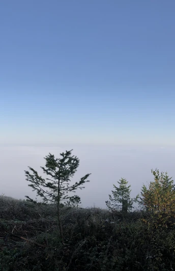 Ebberg-über-wolken.JPG Teutoburger Wald Eggegebirge